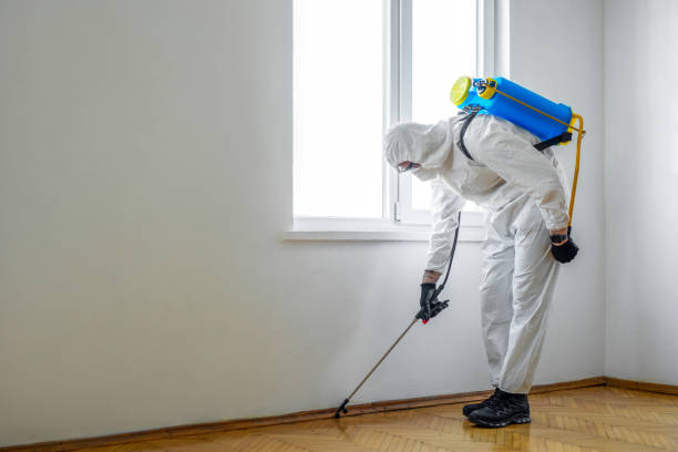 Professional Pest Control in Forest City, NC